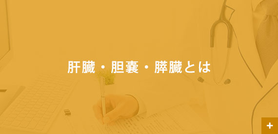 肝臓・胆嚢・膵臓とは